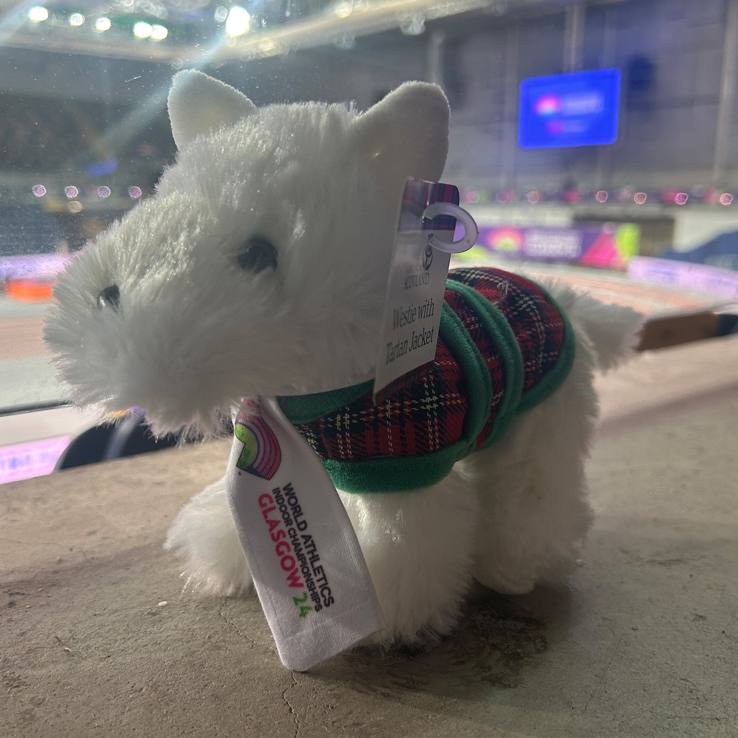 Mascotte du monde d'athlétisme en salle Scottee