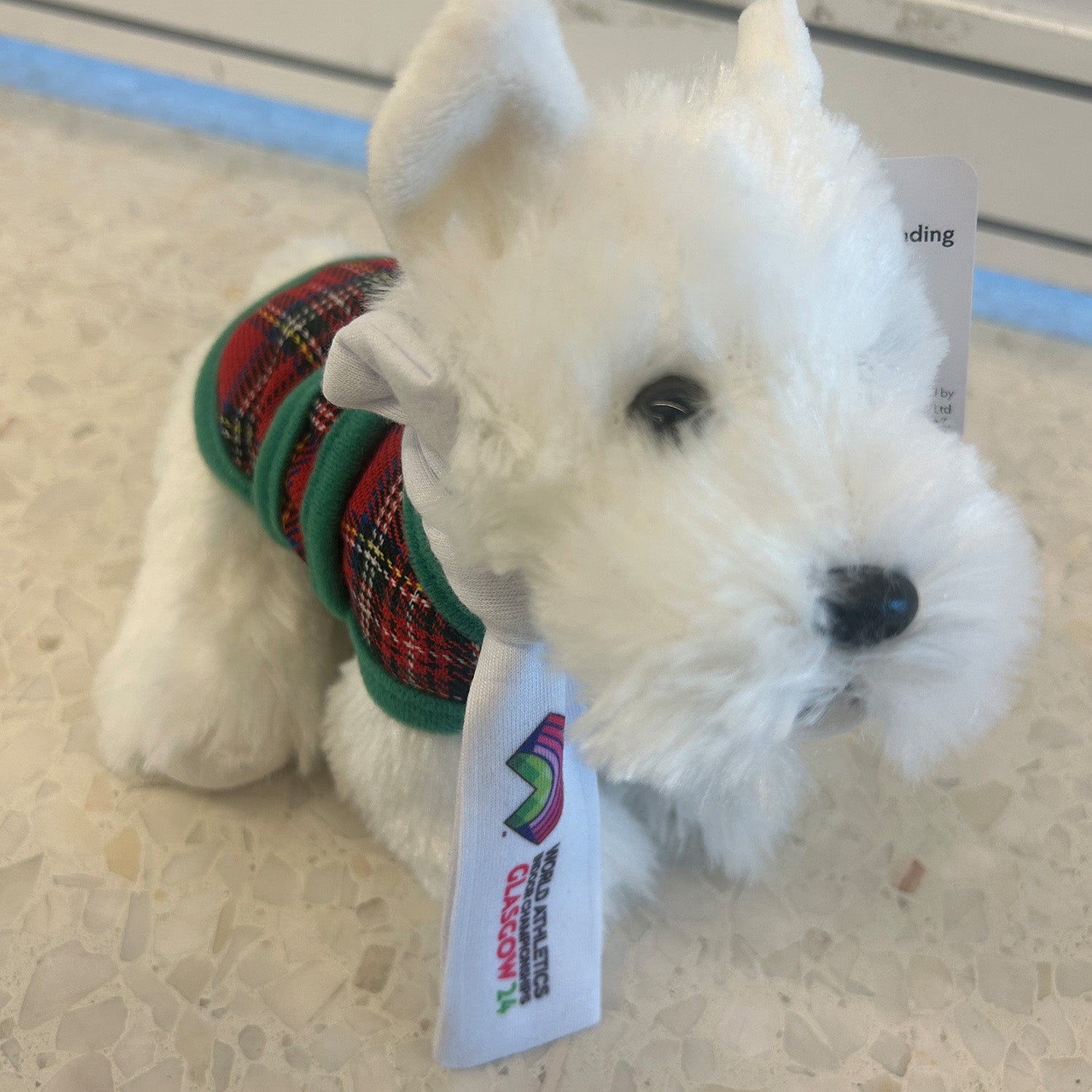 Mascotte du monde d'athlétisme en salle Scottee